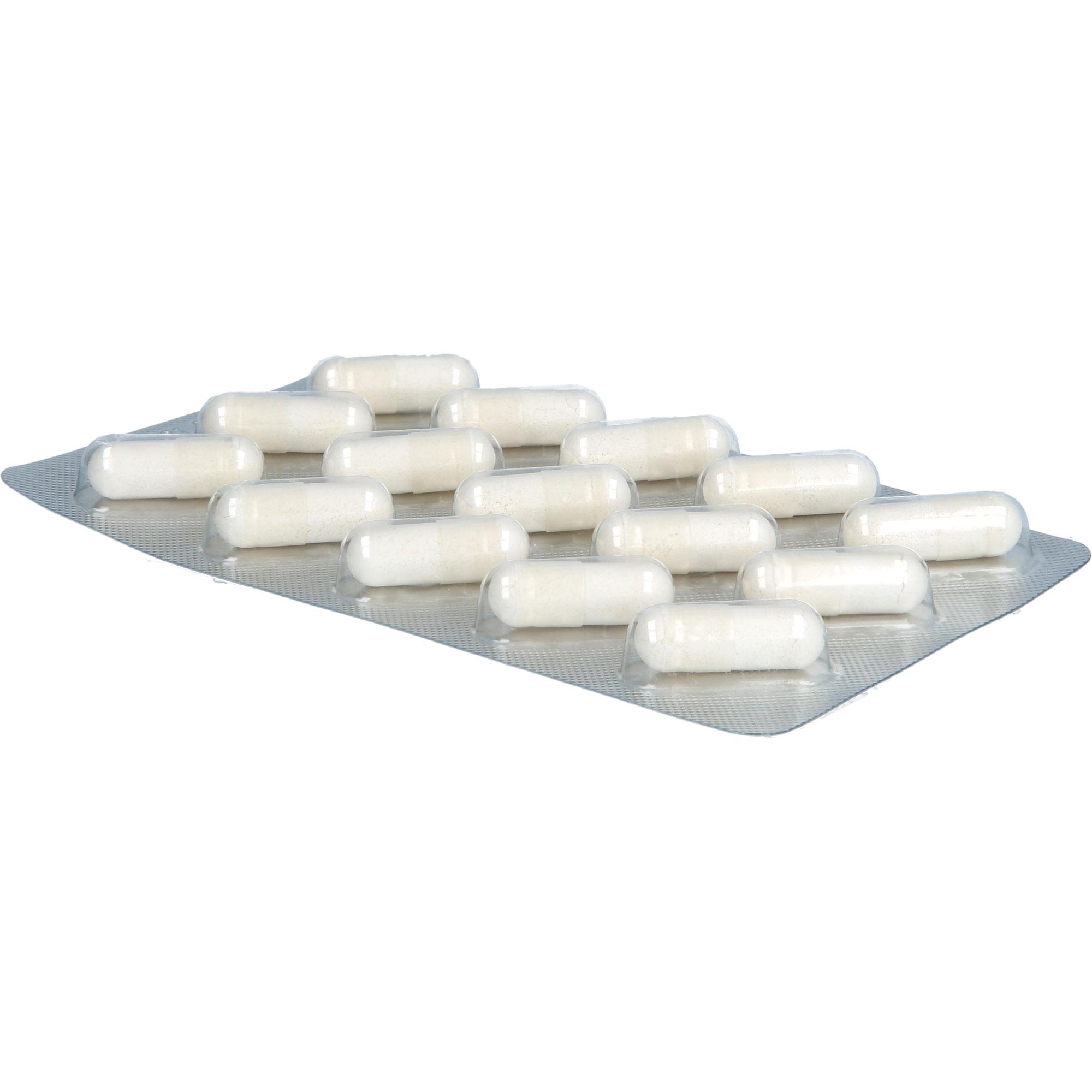 Omniflora Enzym Complex mit Bacillus Coagulans 90 St Heilpflanzenwohl bei onfy.de kaufen 19745346