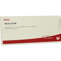 Renes Gl D 6 null