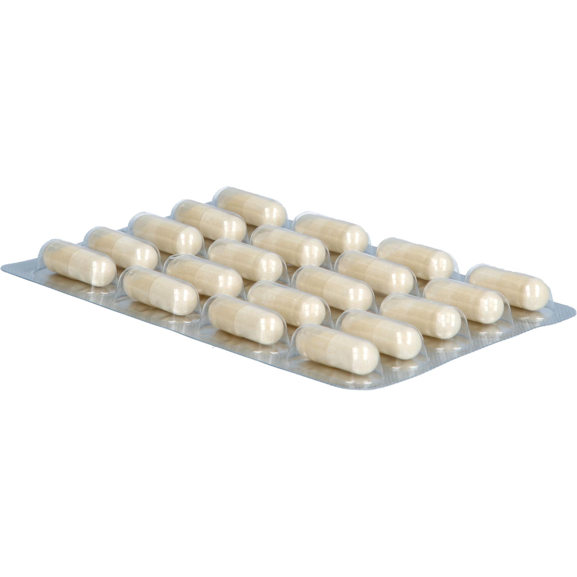 Zink + Selen Kapseln Vegan 100 St Astrid Twardy bei onfy.de kaufen 19741667