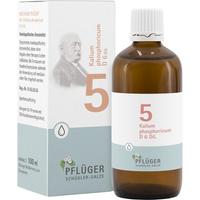 Biochemie Pflüger Nr. 5 Kalium Phosphoricum D 6