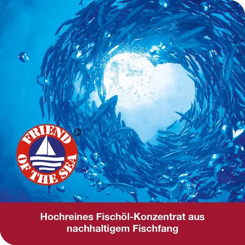 Omega3-Loges Plus 120 St Dr. Loges bei onfy.de kaufen 13360059