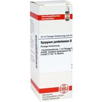 Syzygium Jamb D 6 null
