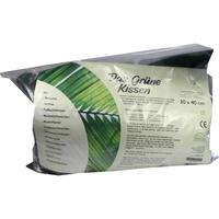 Gruenes Kissen 30x40cm null