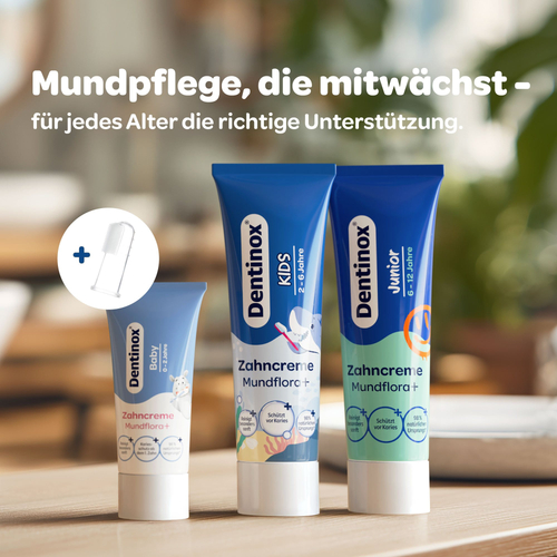 Dentinox Zahncreme Mundflora Baby 30 ml Dentinox Gesellschaft für pharmazeutische Präparate bei onfy.de kaufen 19401368