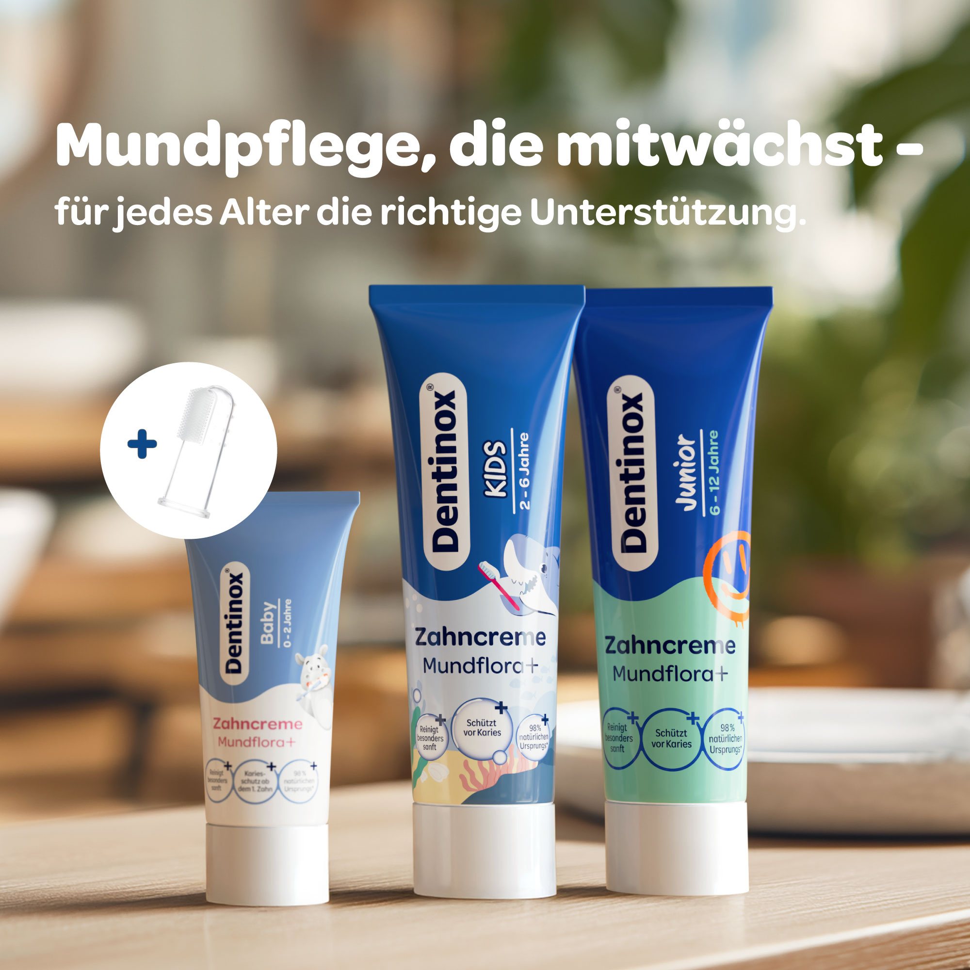 Dentinox Zahncreme Mundflora Baby 30 ml Dentinox Gesellschaft für pharmazeutische Präparate bei onfy.de kaufen 19401368
