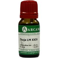 Thuja Arca Lm 24 null