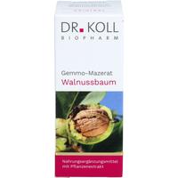 Gemmo-Mazerat Walnussbaum Dr. Koll Juglans Regia null