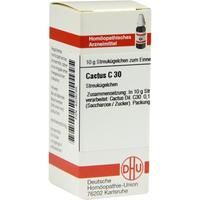 Cactus C30 null