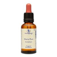 Bachblueten Cherry Plum Healing Herbs null