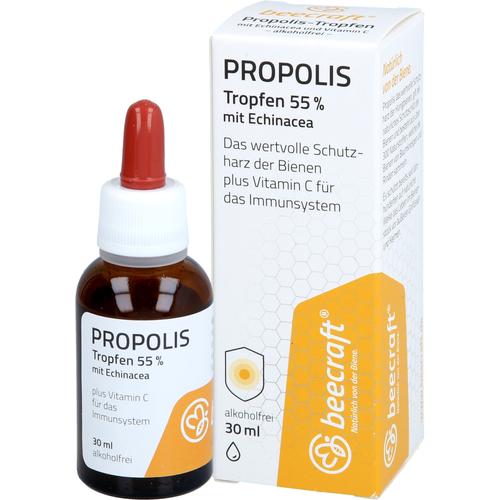 Beecraft Propolis Tropfen 55% Plus Echinacea 30 ml Hansa Naturheilmittel bei onfy.de kaufen 19659902