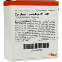 Cerebrum Suis Inj Forte Or null