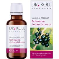 Gemmo-Mazerat Schwarze Johannisbeere Dr.koll Ribes null