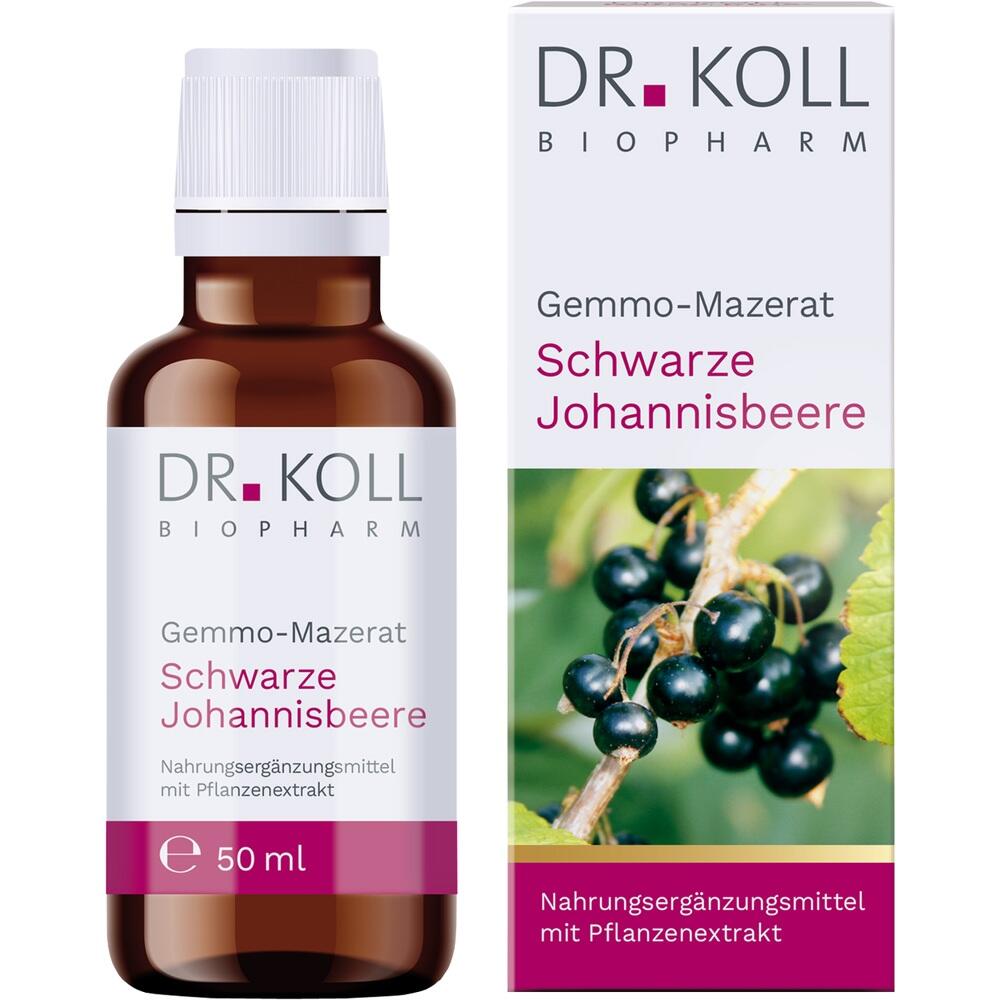 Gemmo-Mazerat Schwarze Johannisbeere Dr.koll Ribes null