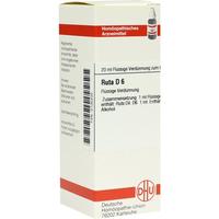 Ruta D 6 null