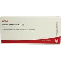 Nervus Phrenicus Gl D30 null