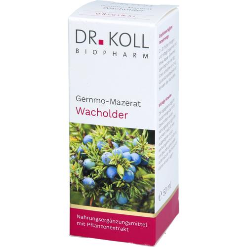Gemmo Mazerat Wacholder Dr. Koll Juniperus Communi 50 ml Dr. Koll Biopharm bei onfy.de kaufen 20059923