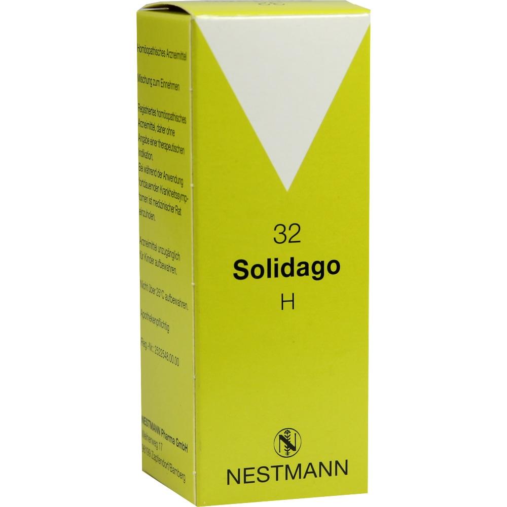 Solidago H 32