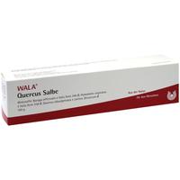 Quercus Salbe null