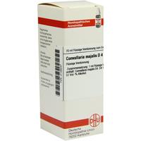 Convallaria Majal D 4 null