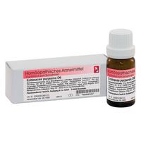 Echinacea Purpurea D6 null