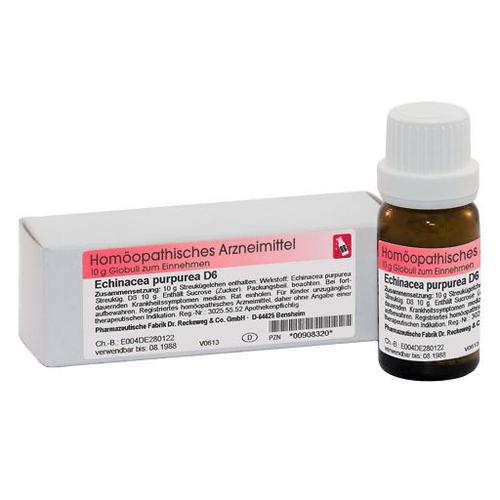 Echinacea Purpurea D6 10 g Dr.RECKEWEG bei onfy.de kaufen 00908320