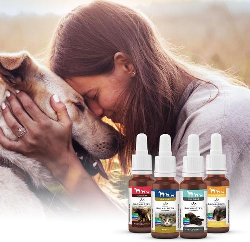 Bachblüten Tiere Tropfen Lustlosigkeit 20 ml Hager Pharma bei onfy.de kaufen 16789604