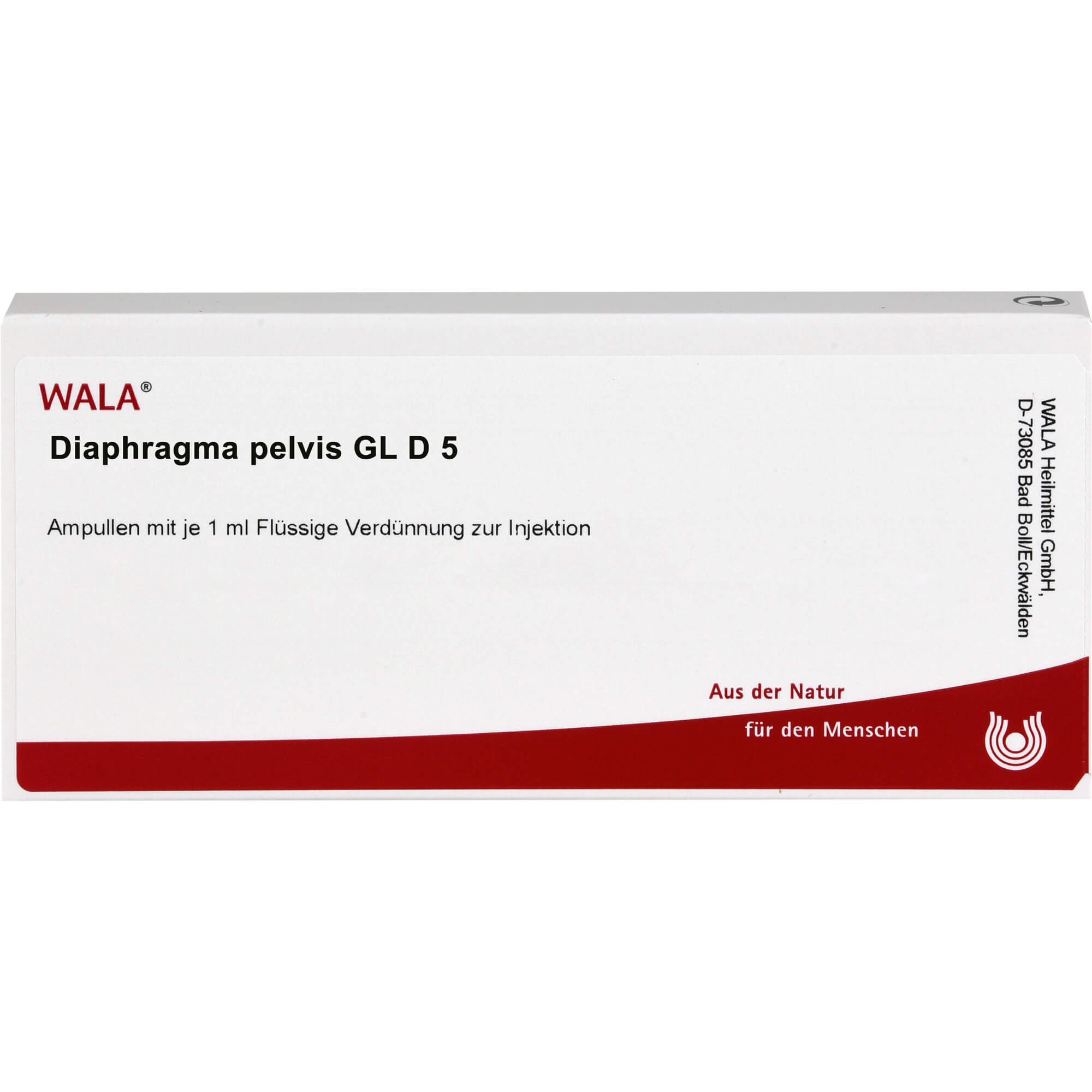 Diaphragma Pelvis Gl D 5 null
