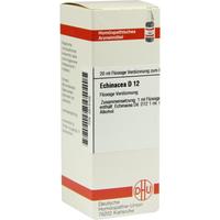 Echinacea (hab) D12 null