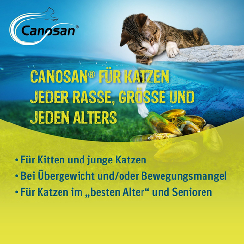 Canosan Katze Vet 30 St Boehringer Ingelheim VETMEDICA bei onfy.de kaufen 05527321