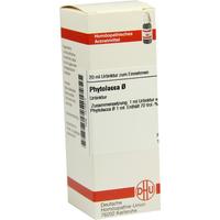 Phytolacca Urt. null