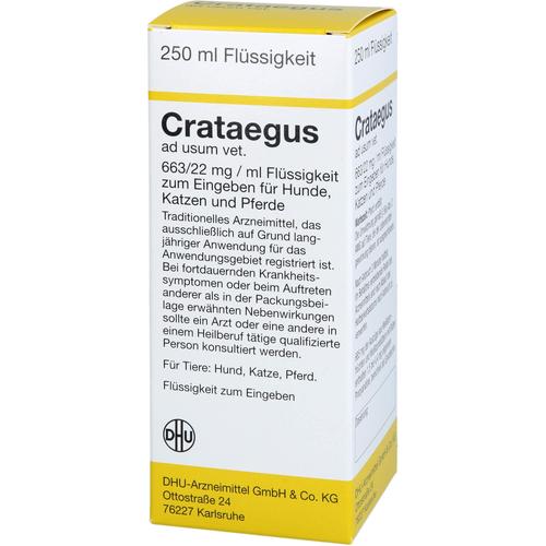 Crataegus Ad Usum Vet 250 ml Dhu-Arzneimittel Gmbh & Co. Kg bei onfy.de kaufen 02728243