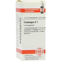 Crataegus D 1 null