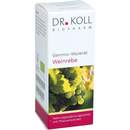 Gemmo-Mazerat Weinrebe Dr. Koll Vitis Vinifera 50 ml Dr. Koll Biopharm bei onfy.de kaufen 20060004