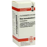 Rhus Tox C12