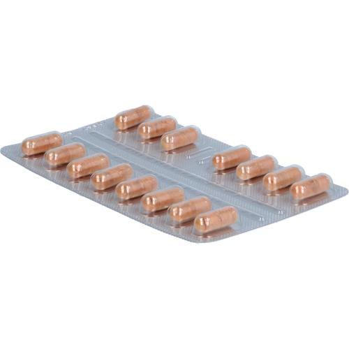 Vaso-Intercell 60 St INTERCELL-Pharma bei onfy.de kaufen 16200669