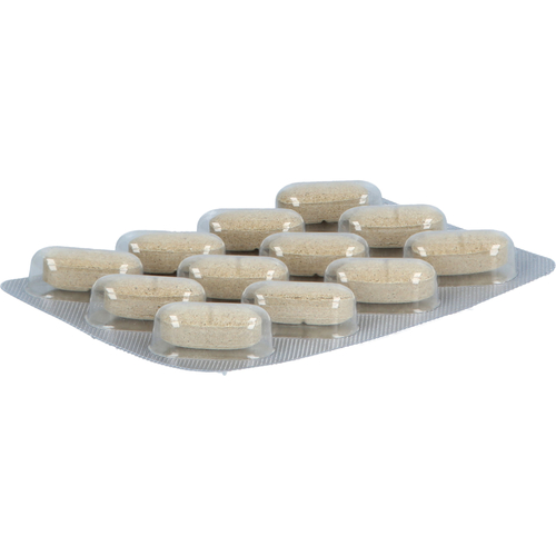 Gse Repair Rapid Acid Fs 36 St Prodeco Pharma Deutschland bei onfy.de kaufen 20005577