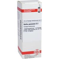 Bellis Perennis D 2 null