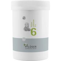 Biochemie Pflüger Nr. 6 Kalium Sulfuricum D 6