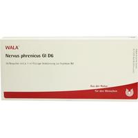 Nervus Phrenicus Gl D 6 null
