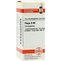 Thuja D60