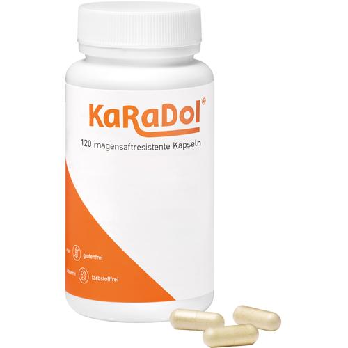 Karadol Kapseln Magensaftresistent 120 St Volopharm GmbH Deutschland bei onfy.de kaufen 20082508