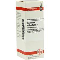 Eupatorium Perf D 6 null