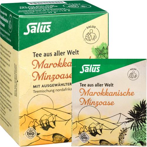 Marokkanische Minzoase Bio Salus 15 St SALUS Pharma bei onfy.de kaufen 19290070