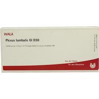 Plexus Lumbalis Gl D30 null