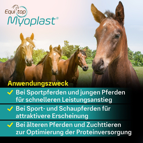 Equitop Myoplast Vet 1.5 kg Boehringer Ingelheim VETMEDICA bei onfy.de kaufen 00714857