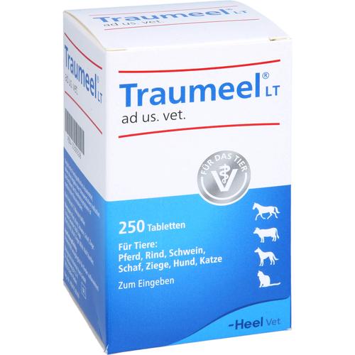 Traumeel Lt Ad Us Vet 250 St Biologische Heilmittel Heel Gmbh bei onfy.de kaufen 15300328