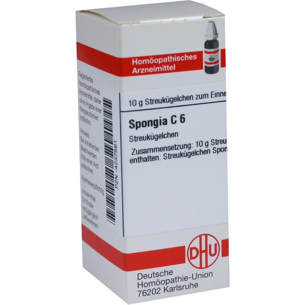 Spongia C 6