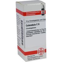 Calendula C 6 null