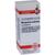 Produktvorschau