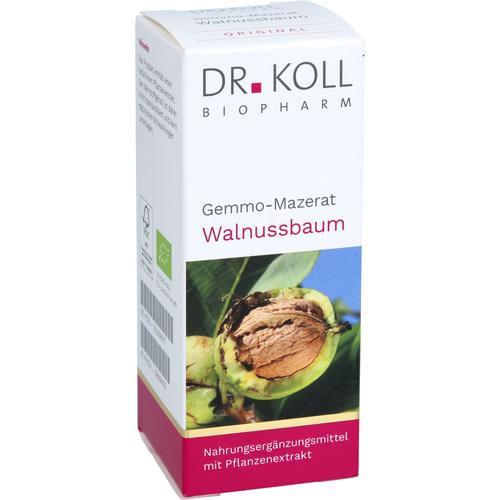 Gemmo-Mazerat Walnussbaum Dr. Koll Juglans Regia 50 ml Dr. Koll Biopharm bei onfy.de kaufen 20059917